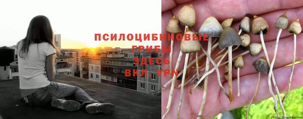 круглые Лихославль