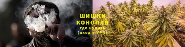 индика Липки