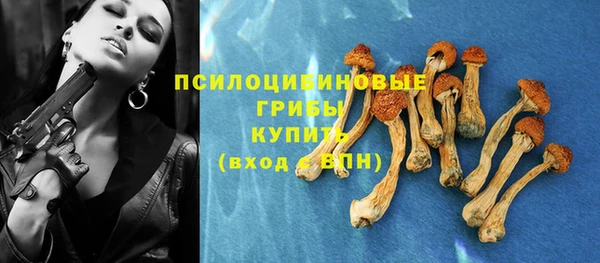 ПСИЛОЦИБИНОВЫЕ ГРИБЫ Магас