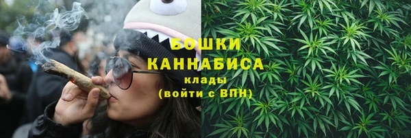 индика Липки