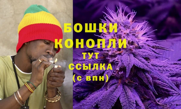 ПСИЛОЦИБИНОВЫЕ ГРИБЫ Магас